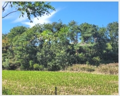  2022Ÿ11062  ʽ 絿 234-3       (Ӿ)