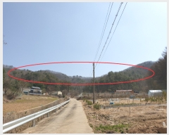  2022Ÿ508  â  縮 147-3      (Ӿ)