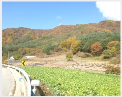  2022Ÿ��1594 ���� ��â�� �渲�� �渲�� 1622      ����(��)���