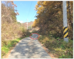  2022Ÿ��1594 ���� ��â�� �渲�� �渲�� 1622      ����(��)���