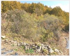  2022Ÿ��1594 ���� ��â�� �渲�� �渲�� 1622      ����(��)���