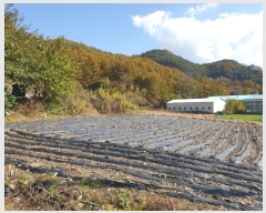  2022Ÿ��1594 ���� ��â�� �渲�� �渲�� 1622      ����(��)���