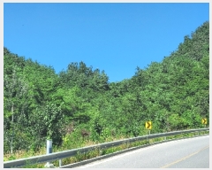  2022Ÿ��201653 ���� ������ ������ ����� 761      ����(��1)���