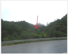  2022Ÿ��201653 ���� ������ ������ ����� 761      ����(��1)���