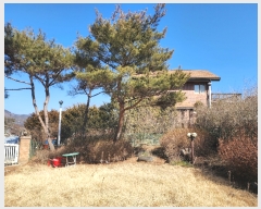  2022Ÿ��58571 ��� û�ֽ� ��籸 �̿��� ��ȭ�� 65-3     ���ð��