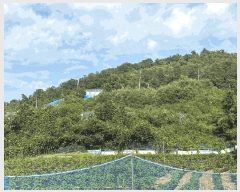  2022Ÿ��59833 ��� û�ֽ� ��籸 ������ ��긮 271-2     ����(������)���