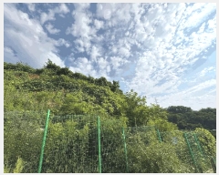  2022Ÿ��59833 ��� û�ֽ� ��籸 ������ ��긮 271-2     ����(������)���