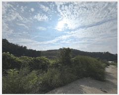  2022Ÿ��59833 ��� û�ֽ� ��籸 ������ ��긮 271-2     ����(������)���