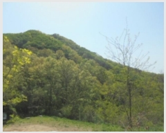  2022Ÿ��30958  �Ӿ߰��