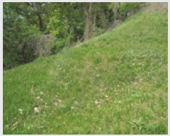  2022Ÿ��30958  �Ӿ߰��