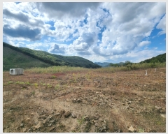  2022Ÿ2311     526-3      (1)