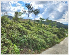  2022Ÿ2311     526-3      (1)