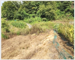  2022Ÿ2311     526-3      (1)