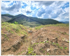  2022Ÿ2311     526-3      (1)