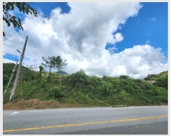  2022Ÿ2311     526-3      (1)