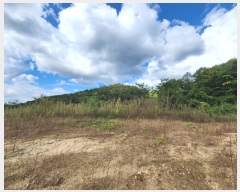  2022Ÿ2311     526-3      (1)