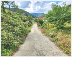  2022Ÿ2311     526-3      (1)