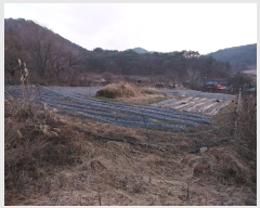  2022Ÿ��7098  �����