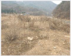  2022Ÿ��7098  �����