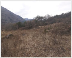  2022Ÿ��7098  �����