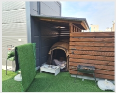  2022Ÿ��104 ���� ���� ������ 427-32       ����(����)���