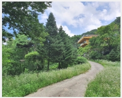  2022Ÿ��5055 �泲 �ݻ걺 �ߺθ� ���븮 1      �����ü����