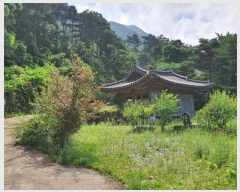  2022Ÿ��5055 �泲 �ݻ걺 �ߺθ� ���븮 1      �����ü����