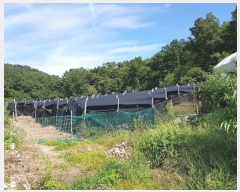  2022Ÿ��6102 ���� ������ �浿 578       ����(��1)���