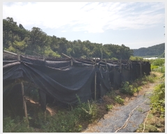  2022Ÿ��6102 ���� ������ �浿 578       ����(��1)���