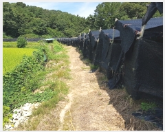  2022Ÿ��6102 ���� ������ �浿 578       ����(��1)���