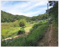  2022Ÿ��6102 ���� ������ �浿 578       ����(��1)���