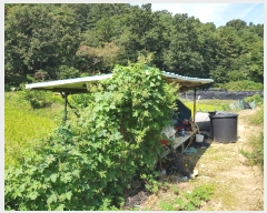  2022Ÿ��6102 ���� ������ �浿 578       ����(��1)���