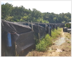  2022Ÿ��6102 ���� ������ �浿 578       ����(��1)���