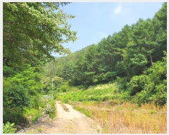  2022Ÿ��105108 �泲 �ݻ걺 ����� ���긮 ��57-1      ����(�Ӿ�)���