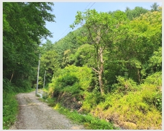  2022Ÿ��105108 �泲 �ݻ걺 ����� ���긮 ��57-1      ����(�Ӿ�)���