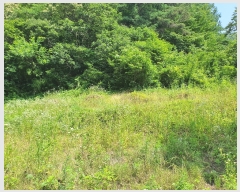  2022Ÿ��105108 �泲 �ݻ걺 ����� ���긮 ��57-1      ����(�Ӿ�)���