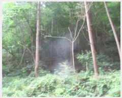  2022Ÿ��105108 �泲 �ݻ걺 ����� ���긮 ��57-1      ����(�Ӿ�)���