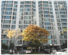  2022Ÿ110322   õ 38, 101 111101ȣ (ﵿ,︶Ʈ)    Ʈ