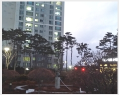  2022Ÿ100196 Ưġ ޺ 211, 1001 21 2101ȣ (Ƹ,⸶10)    Ʈ