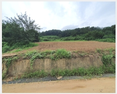  2022Ÿ��107449 ���� �߱� ħ�굿 284       ����(��1)���