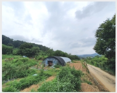  2022Ÿ��107449 ���� �߱� ħ�굿 284       ����(��1)���