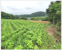  2022Ÿ��107449 ���� �߱� ħ�굿 284       ����(��1)���