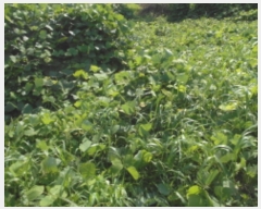  2022Ÿ��107449 ���� �߱� ħ�굿 284       ����(��1)���