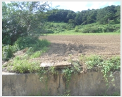  2022Ÿ��107449 ���� �߱� ħ�굿 284       ����(��1)���