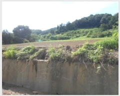  2022Ÿ��107449 ���� �߱� ħ�굿 284       ����(��1)���