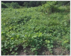  2022Ÿ��107449 ���� �߱� ħ�굿 284       ����(��1)���