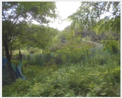  2022Ÿ5406   浿 473       (1)