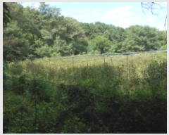  2022Ÿ5406   浿 473       (1)