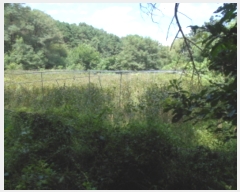  2022Ÿ5406   浿 473       (1)