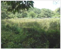  2022Ÿ5406   浿 473       (1)